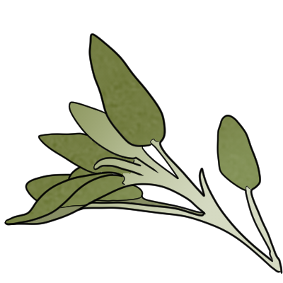 a sprig of sage